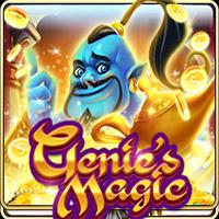 Genie's Magic